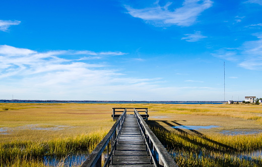 Wooden dock in swamp scenic area with blue sky