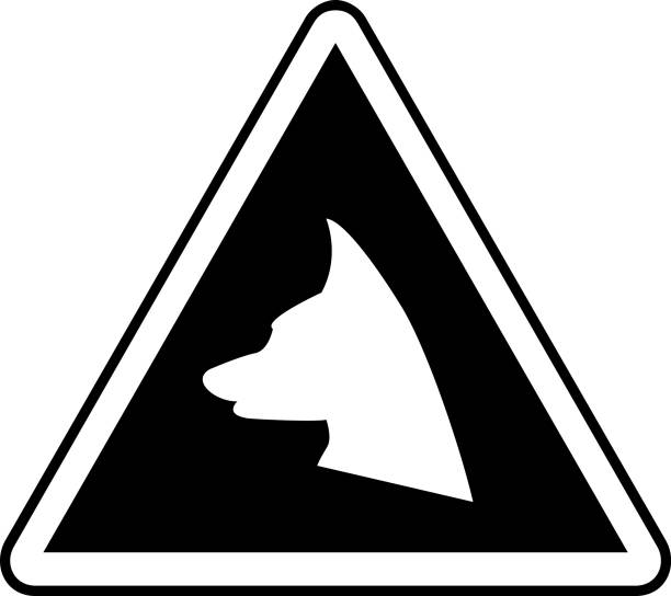 Peruvian Warning Sign Example 40+ Peruvian Dogs Stock Illustrations, Royalty-Free Vector Graphics ...