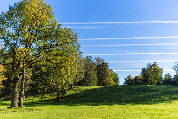 Park e bandas de aeronaves - foto de acervo