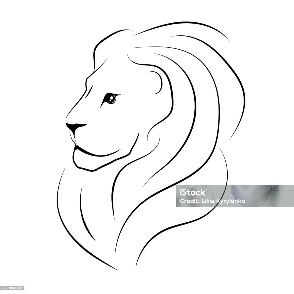 The head of the lion sideways. Black outline. The head of the lion sideways. Black outline. Vector Animal stock vector