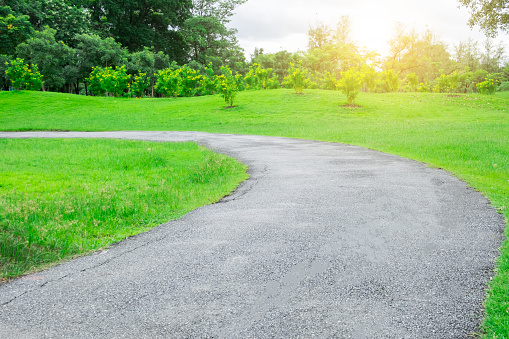 Road path pass through the tree park garden with many tree around area and landscape with beautiful warm light from the sun feeling motivation and refresh