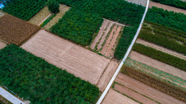 istock Aerial View-Agriculture 857017278