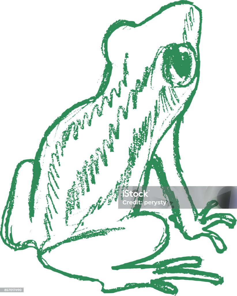 tree frog, tropical animal vector, sketch, hand drawn illustration of tree frog Sketch stock vector