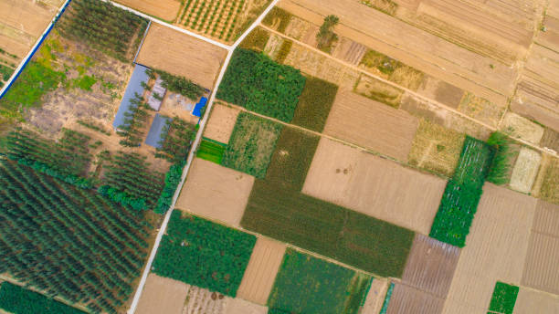 istock Aerial View-Agriculture 857017538