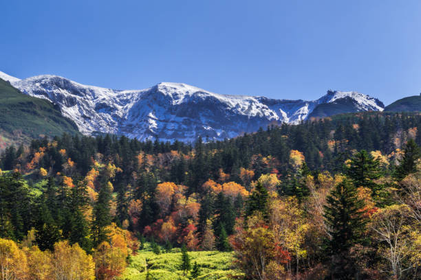 istock Mt. Tokachi (Tokachidake),Tokachi Volcanic Group 857028940
