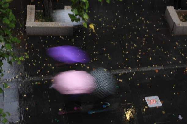 istock Autumn rain and umbrellas 857029156