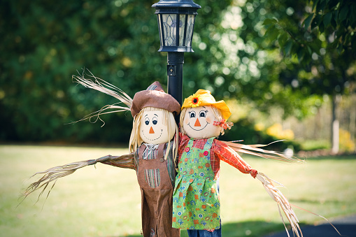 A male and female scarecrow in the suburbs.