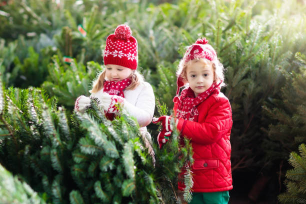 istock Kids select Christmas tree. Family buying Xmas tree. 857035184