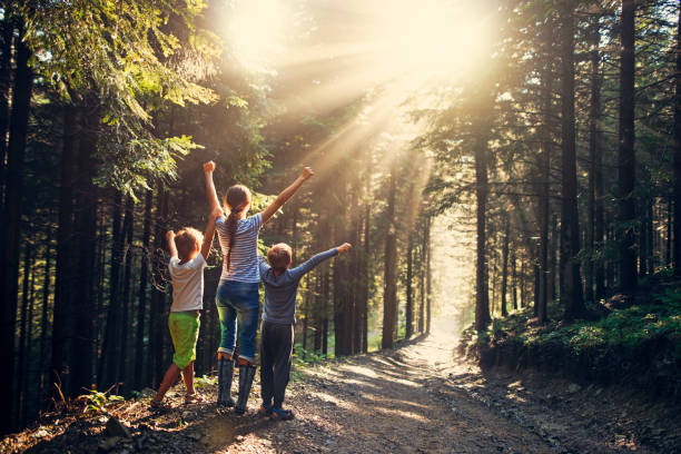 istock Kids admiring glorious sun rays in forest after rain 857035794