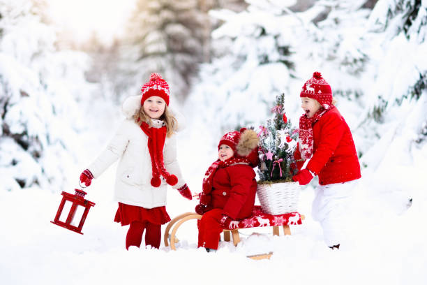 Children with Christmas tree on wooden sled in snow. Kids cut Xmas tree. Boy and girl on sledge in snowy forest. Brother and sister select winter holidays decoration. Child with sleigh. Kid sledding.