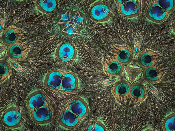 istock Peacock feathers kaleidoscope background. Blue and green nature pattern. Mozaic texture. 857040986