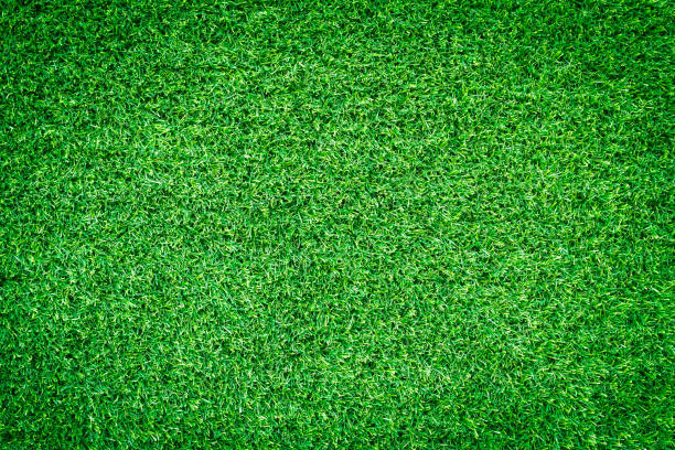istock Artificial green grass texture for golf course. soccer field or sports background concept design. 857041228