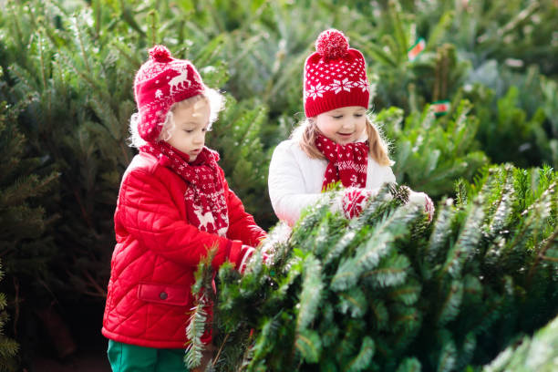 istock Kids select Christmas tree. Family buying Xmas tree. 857041326