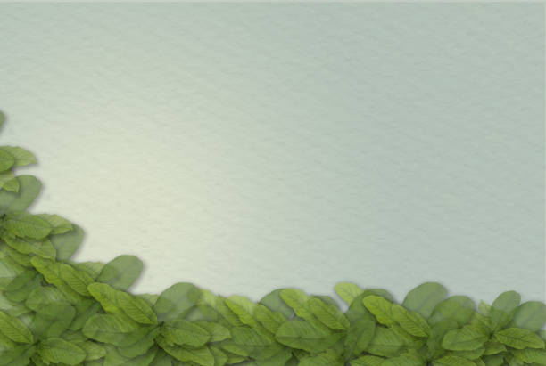 istock Green leafs on paper effect gray green background 857041630