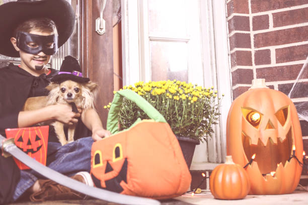 Cute boy wearing his costume holding his pet dog excited about all the candy in jack o'lantern buckets he received after trick or treating on Halloween night.  He sits on front door stoop with Halloween decor around him.