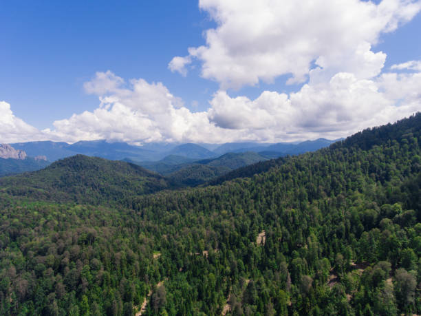 istock Aerial view. Summer mountain landscape. Forested mountains and clouds 857048642