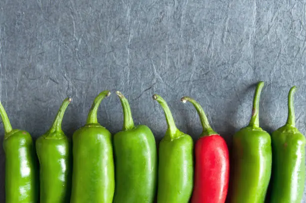 Row of green chillis with one red pepper
