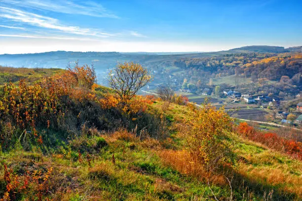 View on the beautiful colorful autumn landscape of the hills with trees and greenfields in the countryside.