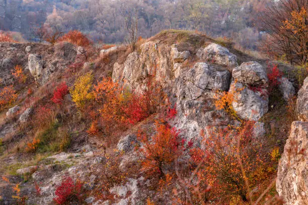 View on the beautiful colorful autumn landscape of the hills with trees, rocks and greenfields in the countryside.
