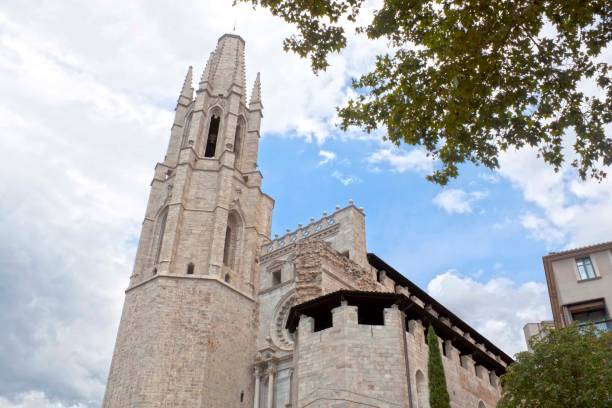 istock Catholic Cathedral of Gerona and a tree in a sunny day, Spain 857060672