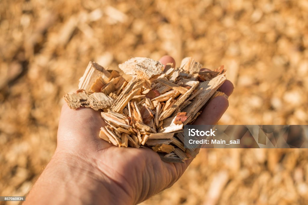 Un puñado de virutas de madera tecnológicas seco. - Foto de stock de Recorte de Madera libre de derechos