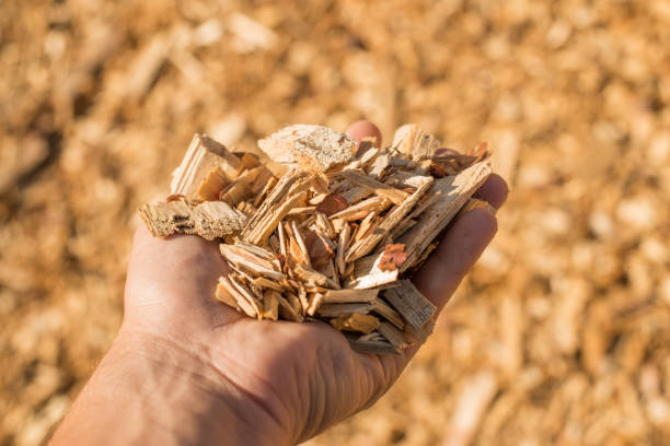 une poignée de copeaux de bois sec technologique. - wood chipboard photos et images de collection