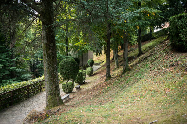 istock Sacro Monte di Varallo, Italy: Trees 857064364