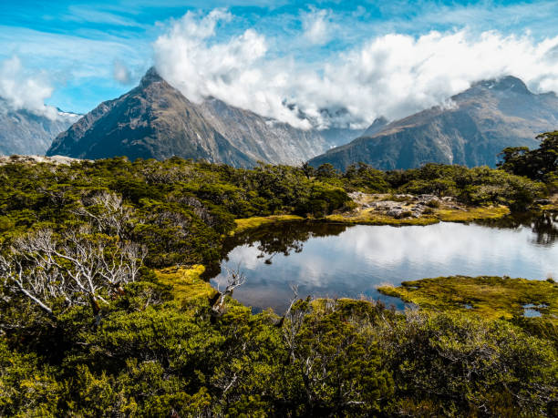istock New Zealand South Island 857064764