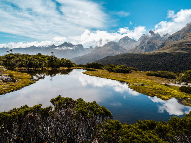 istock New Zealand South Island 857064886