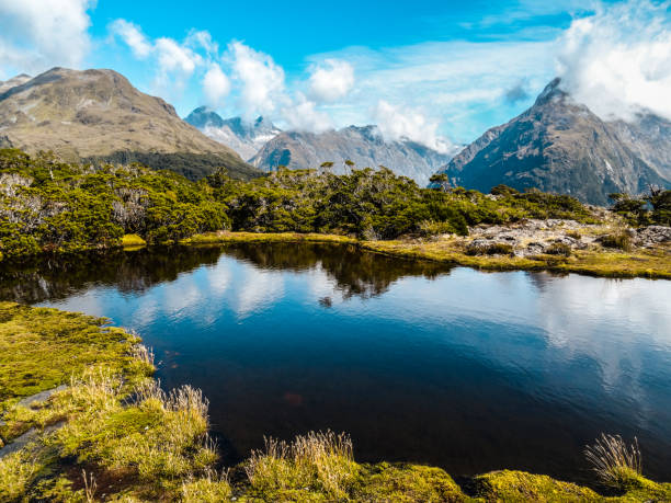 istock New Zealand South Island 857065140