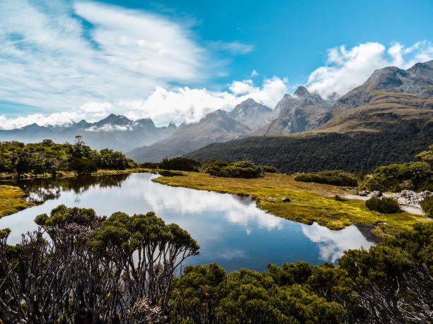 istock New Zealand South Island 857065144