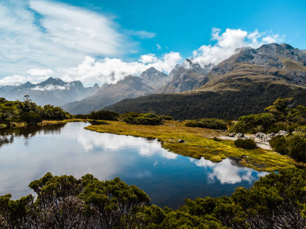istock New Zealand South Island 857065210