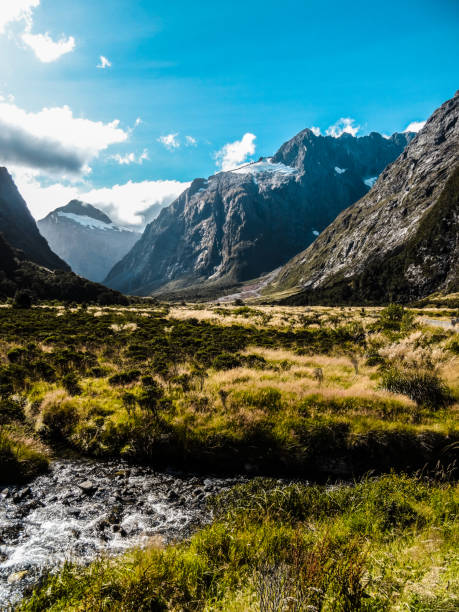 istock New Zealand South Island 857065410