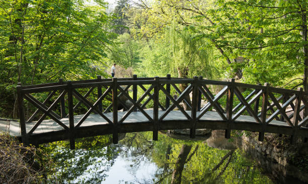 istock Old wooden bridge in the park 857069222