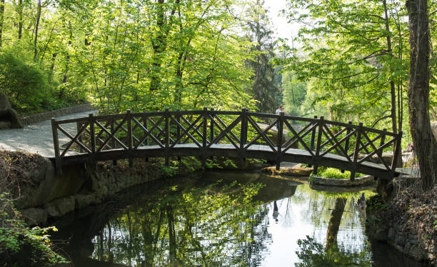 istock Old wooden bridge in the park 857071468