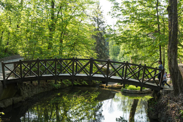 istock Old wooden bridge in the park 857071838