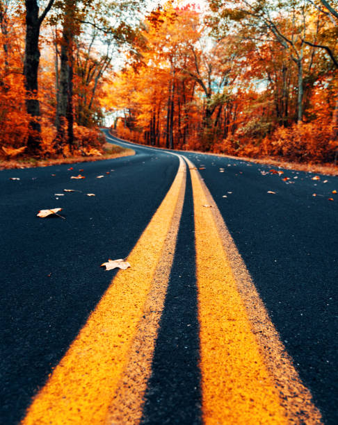 istock Autumnal road in new hampshire 857082202