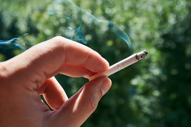 istock Hand holding a cigarette with smoke and blurred bokeh as background on a Sunny day 857083580