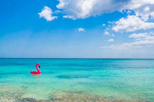 istock sandy sea beach caribbean dominican 857083842