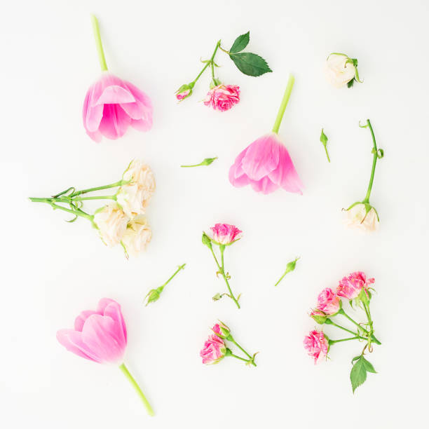 istock Pattern with flowers, branches and leaves isolated on white background. Flat lay, Top view. 857086772