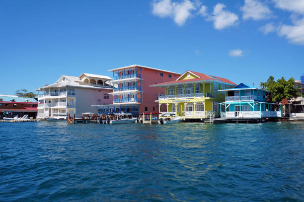 Colorful Caribbean buildings over the water Colorful Caribbean buildings over the water with boats at dock, Colon island, Bocas del Toro, Panama animal digestive system stock pictures, royalty-free photos & images