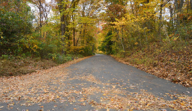 istock Autumn Road Long Island New York 857091070
