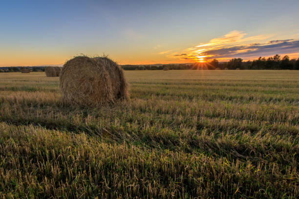 istock Haystacks on the field in Autumn season. 857094042