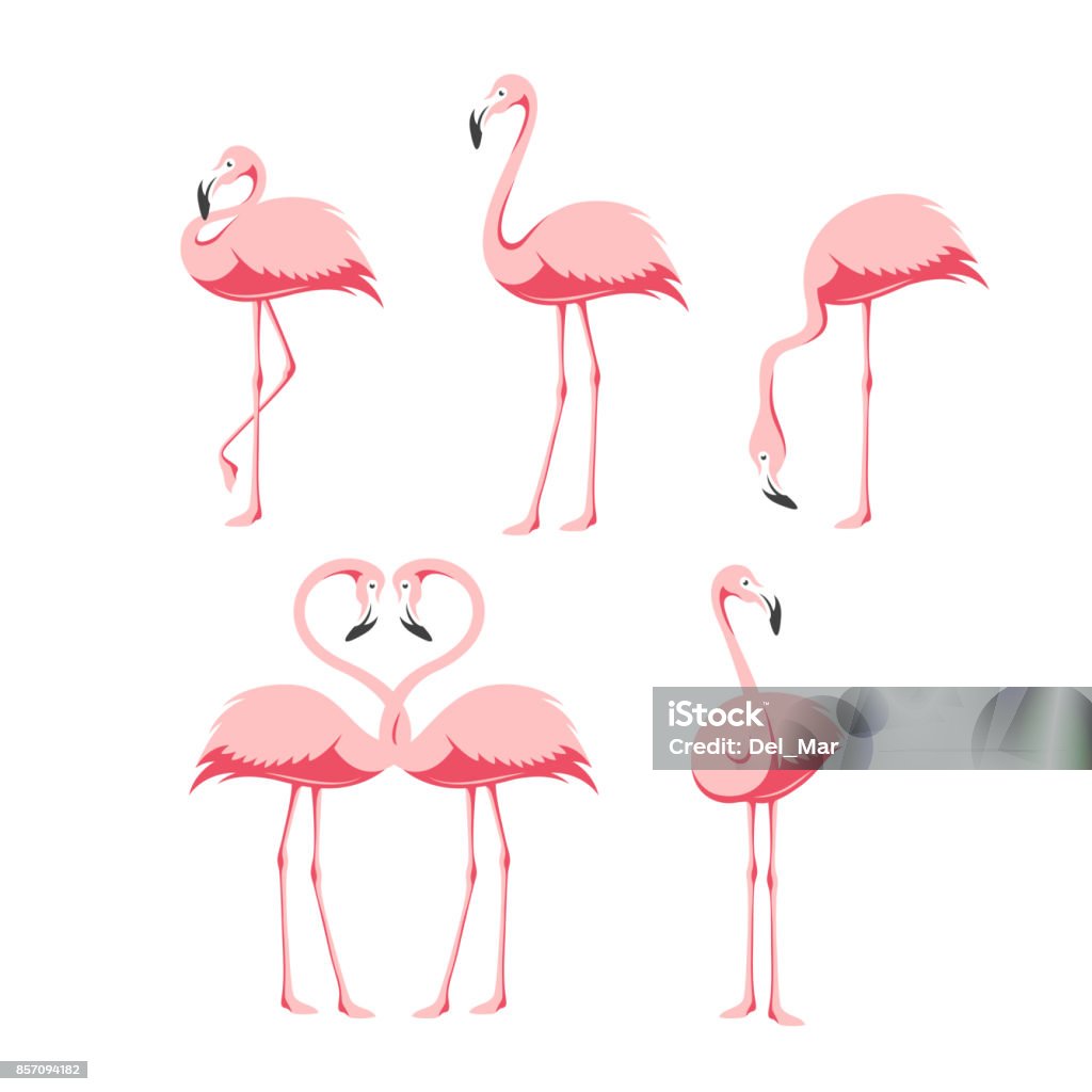 Ensemble des oiseaux flamants roses. Illustration de vintage Vector. - clipart vectoriel de Flamant libre de droits