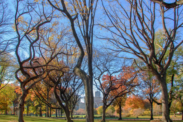 istock Central Park, New York City, USA 857095026