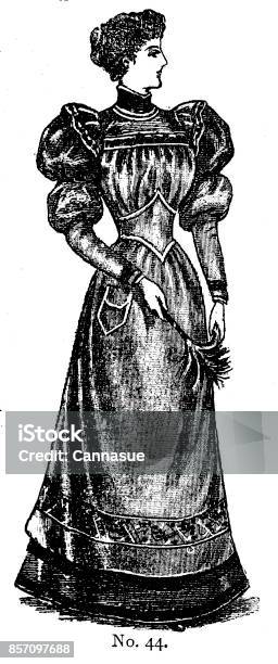 19th Century Ladies Day Dress With Leg Of Mutton Sleeves And High Collar Fashion Plate Victorian Clothing And Latest Fashions 1893 Stock Illustration - Download Image Now