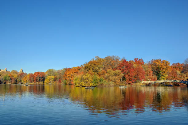 istock Central Park, New York City, USA 857097788