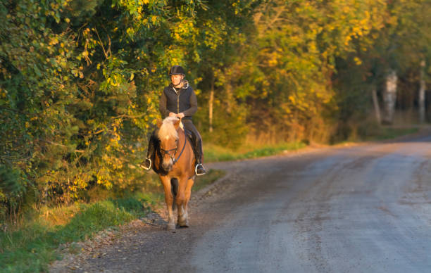 istock Woman horseback riding on the road 857100134