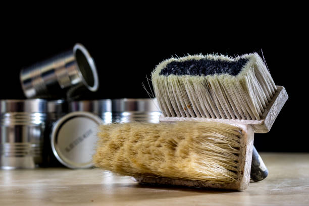 Old paint brushes in black and white on white background.