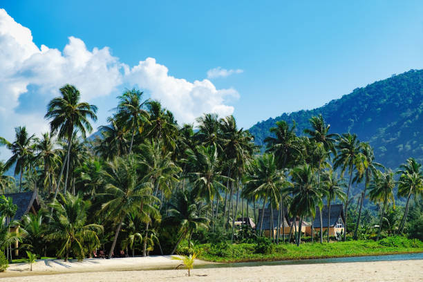 istock Luxury house on sandy beach with palms trees 857106486